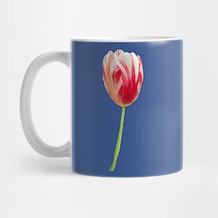 Modern Viceroy Mug